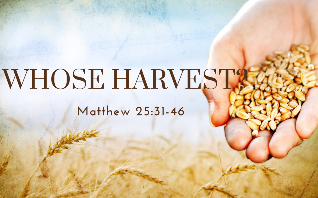 Whose Harvest?