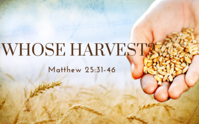 Whose Harvest?