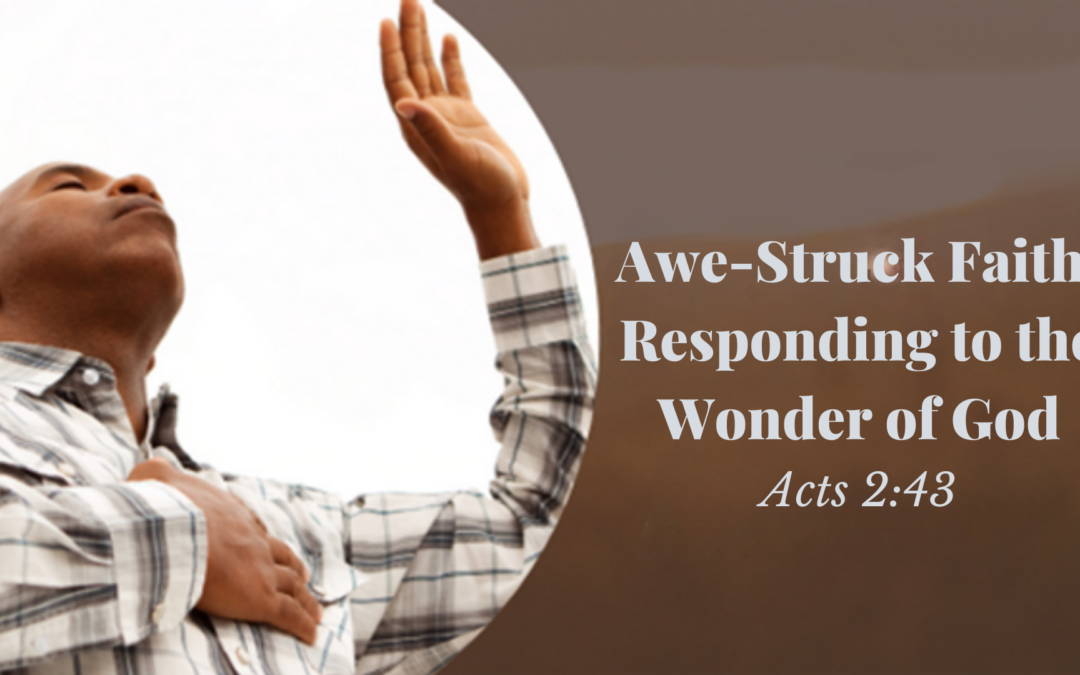 Responding to the Wonder of God