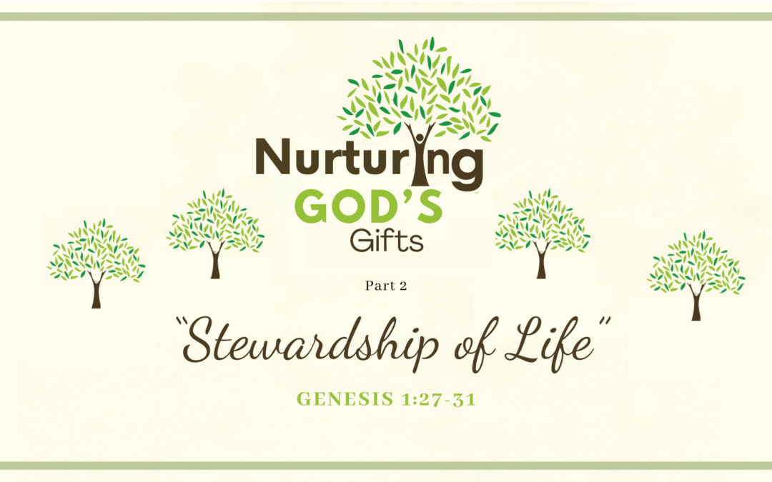 Stewardship of Life