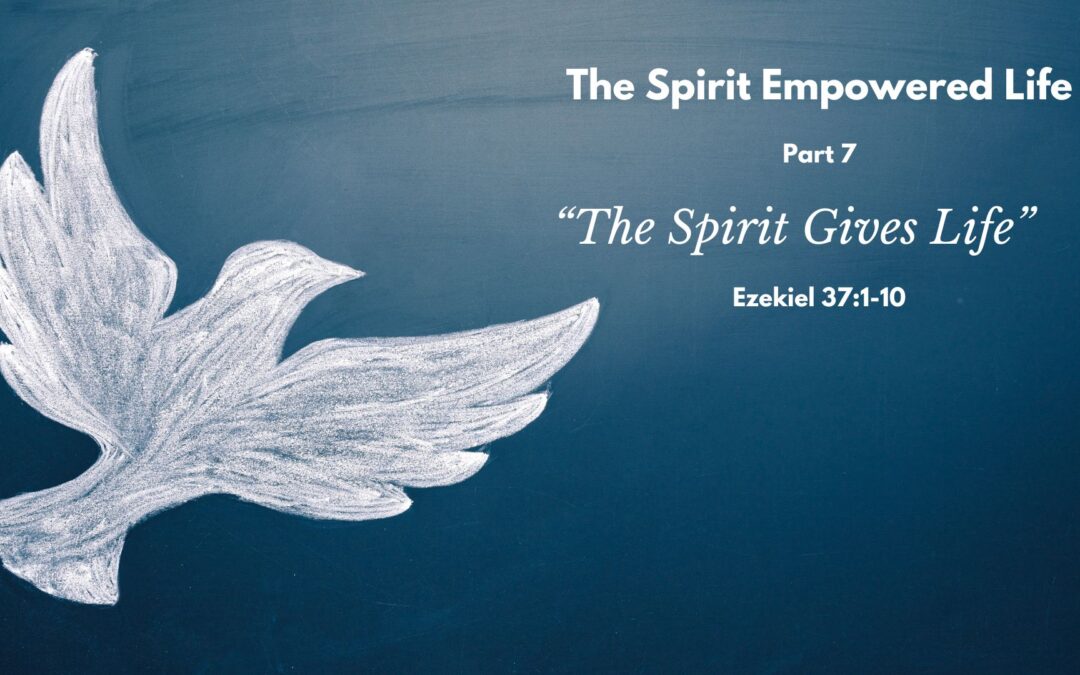 The Spirit Gives Life