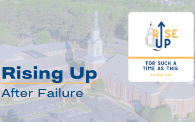 Rising Up After Failure