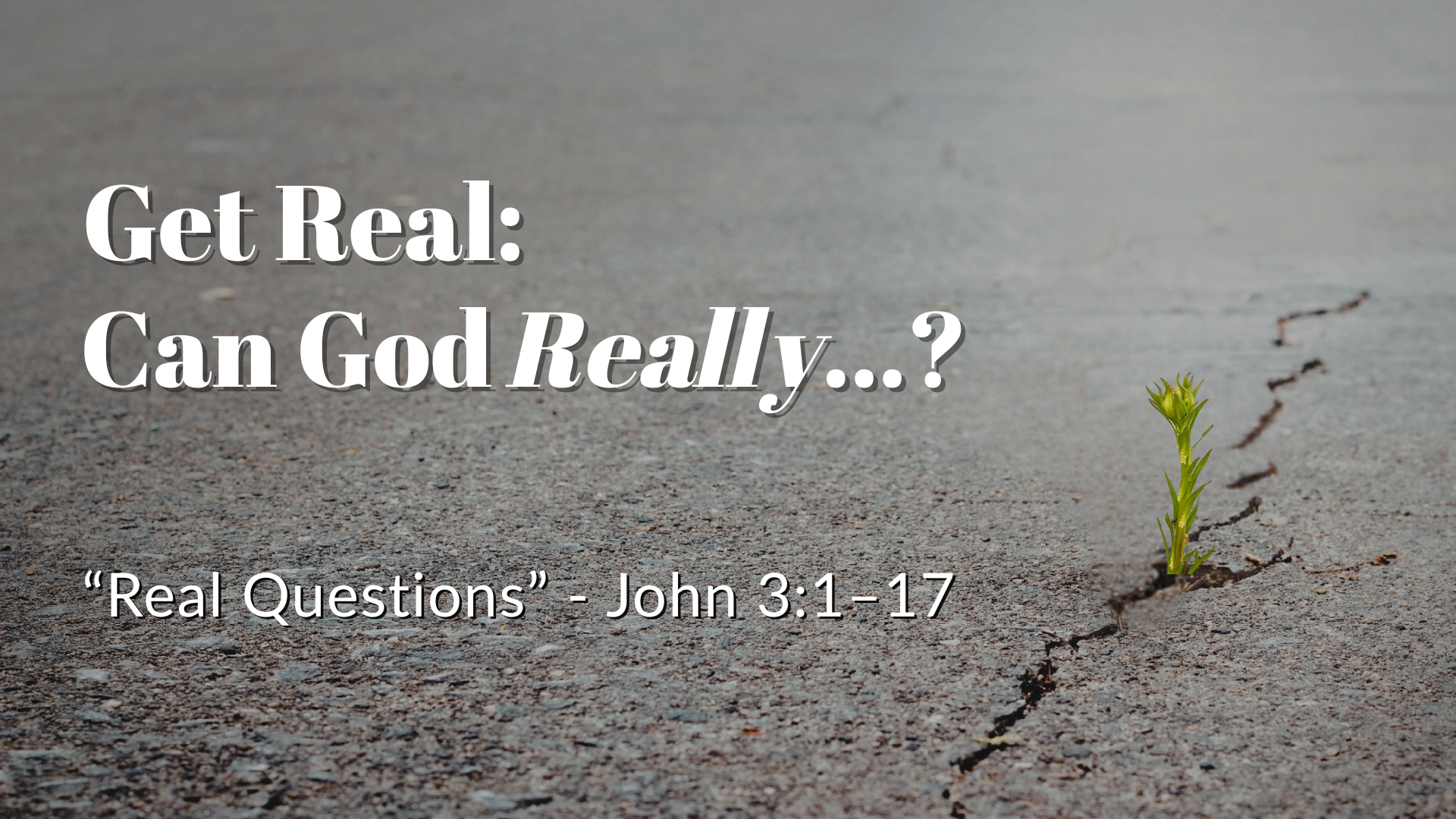 Get Real: Real Questions